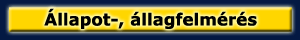 �llag-, �llapotfelm�r�s